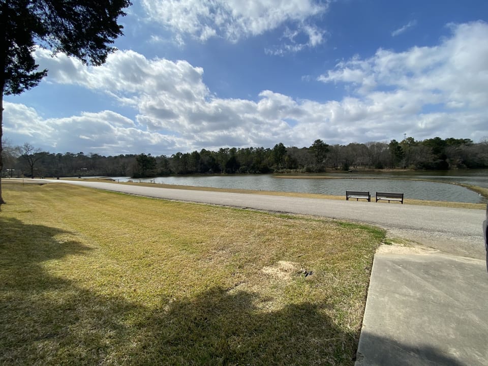 Serene view from the entire property