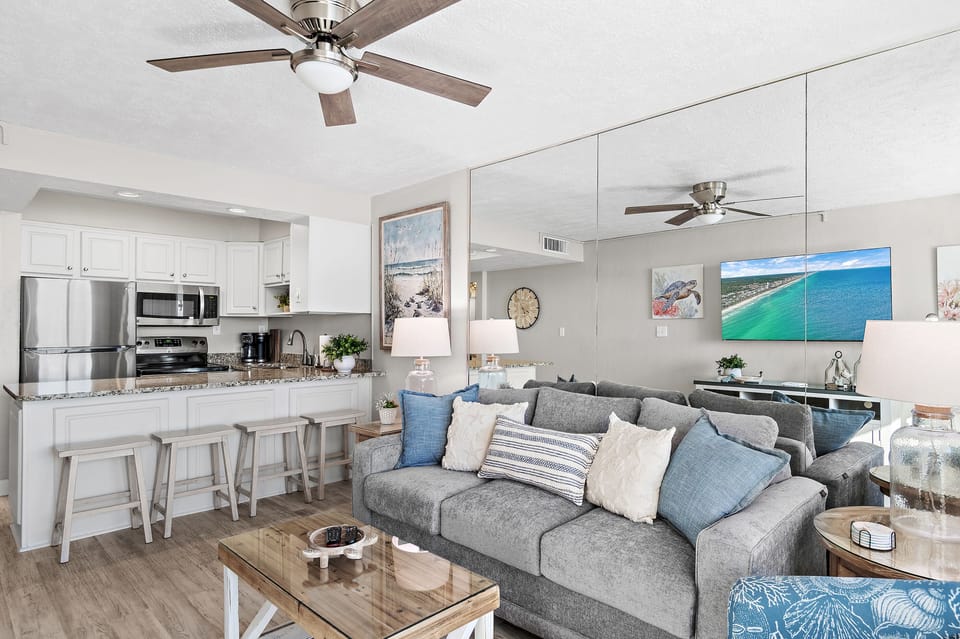 Living and Kitchen Area