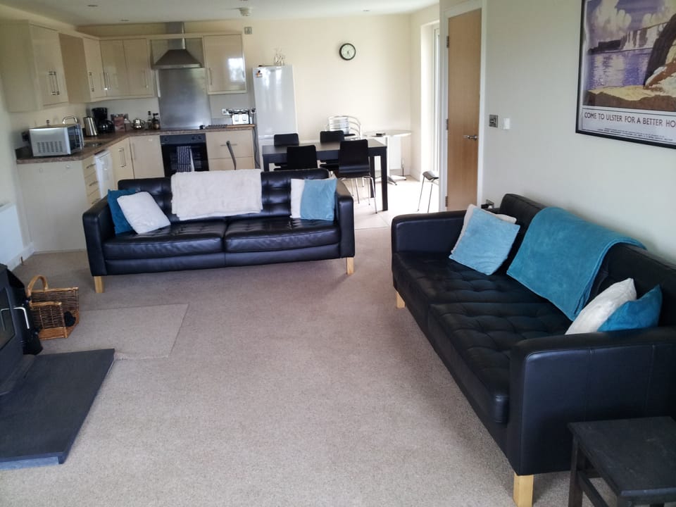 Living dining kitchen area