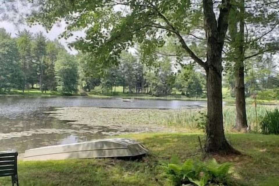 Pond view w/ rowboat