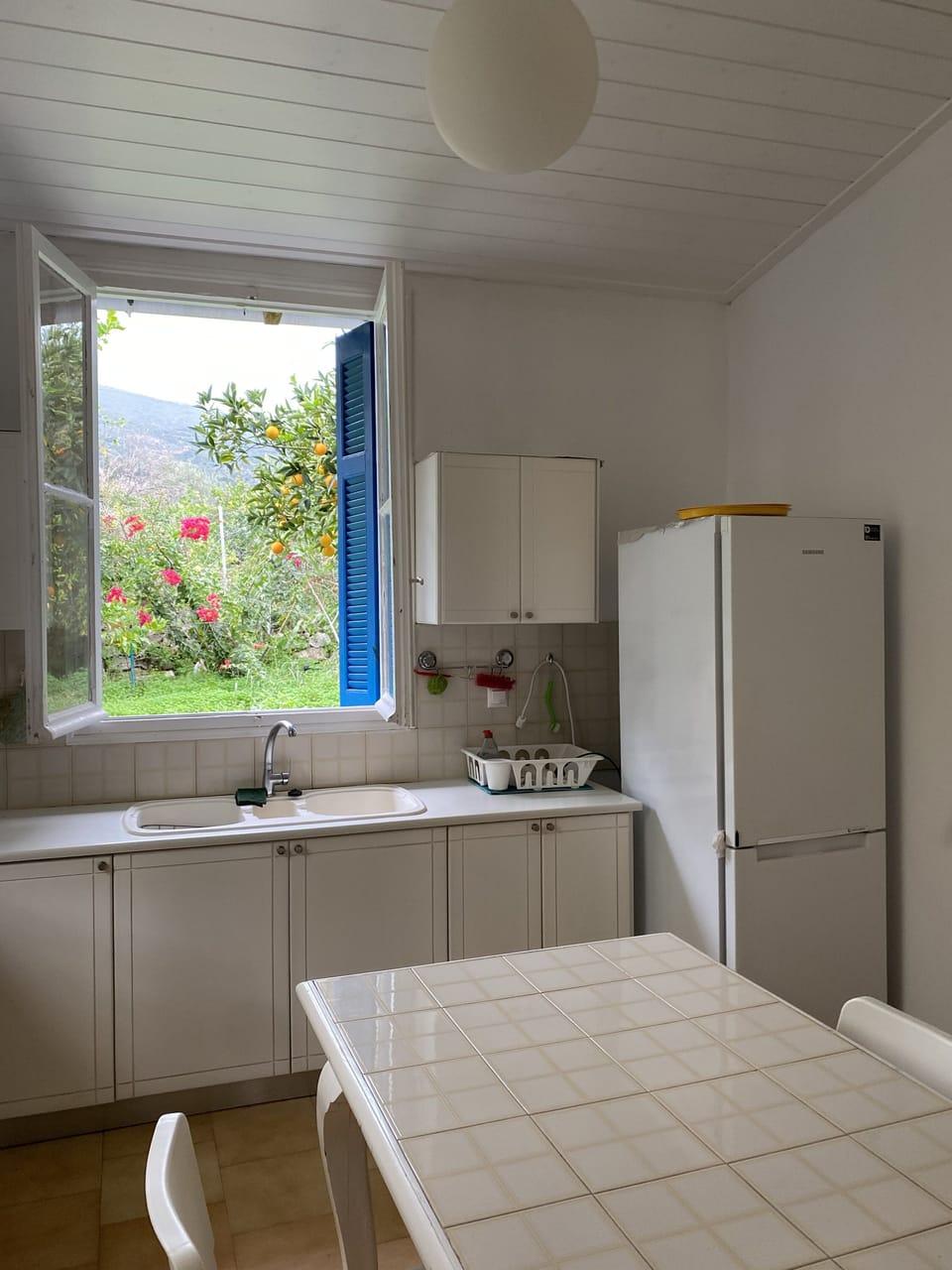 kitchen overlooking the lemon grove