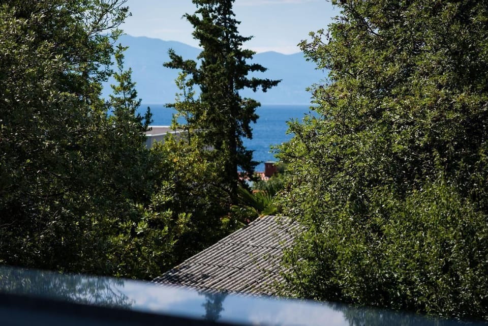 View from the window. Picture 18