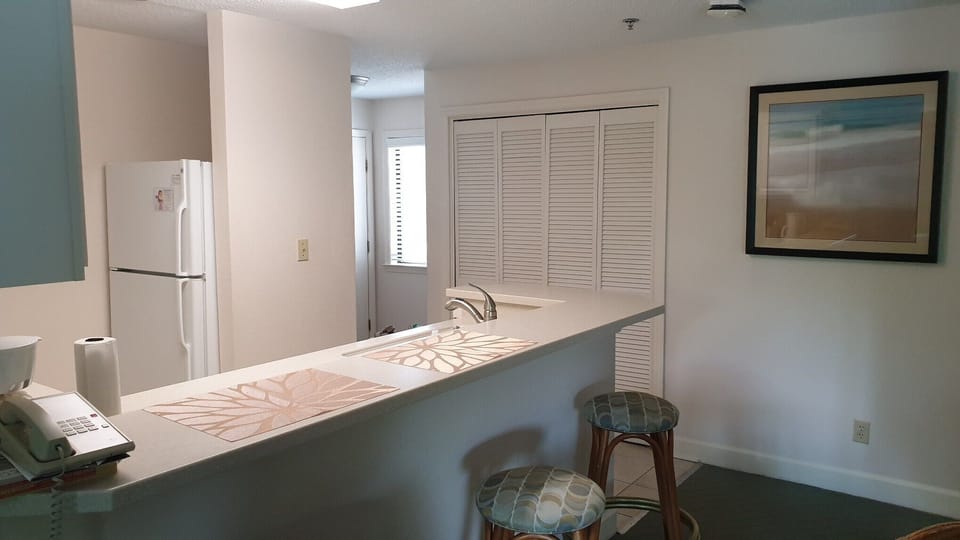 Living Room into Kitchen and Dining Counter Top