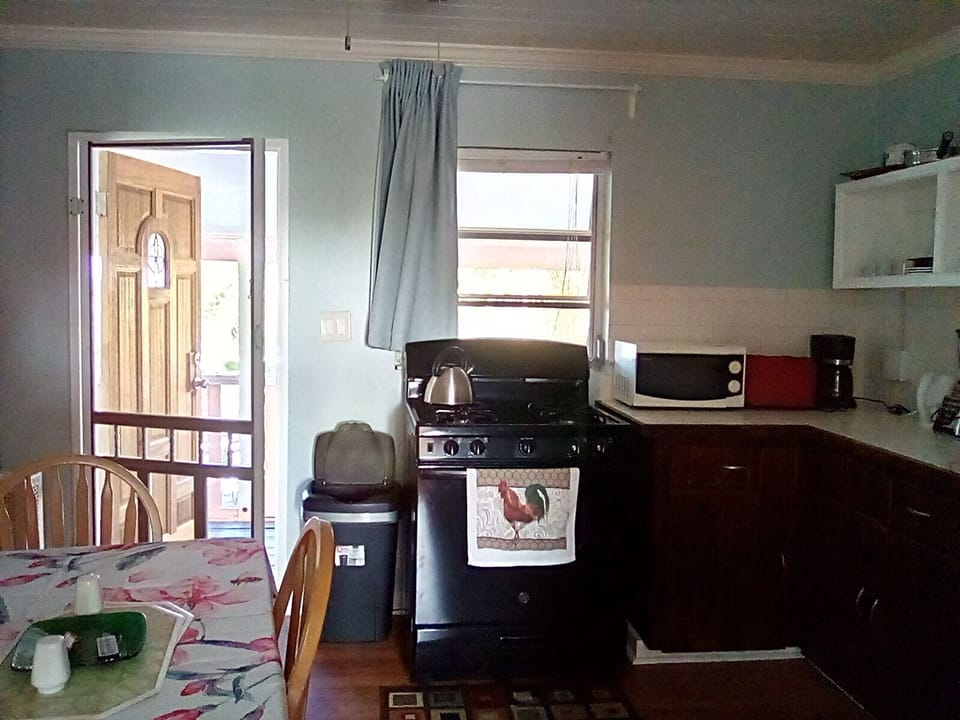 APARTMENT II LIVING SPACE/KITCHEN