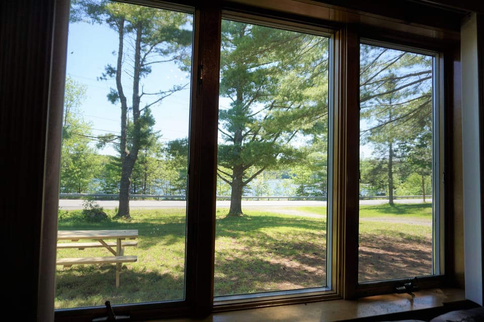 view from living room window