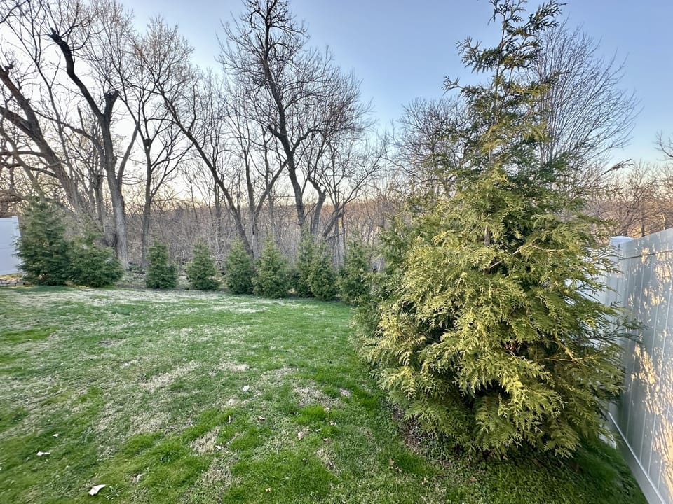 Back yard