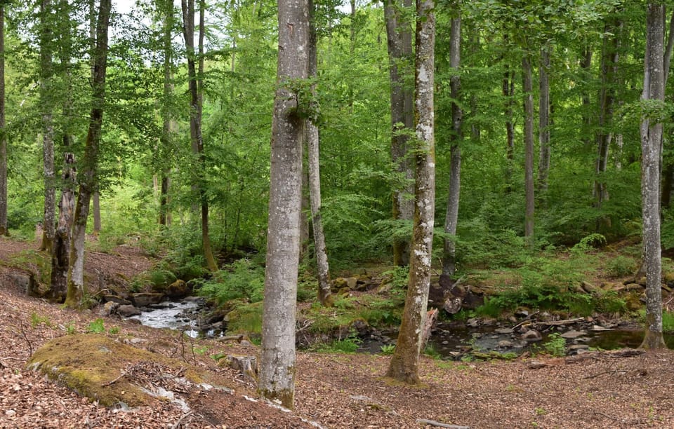 area