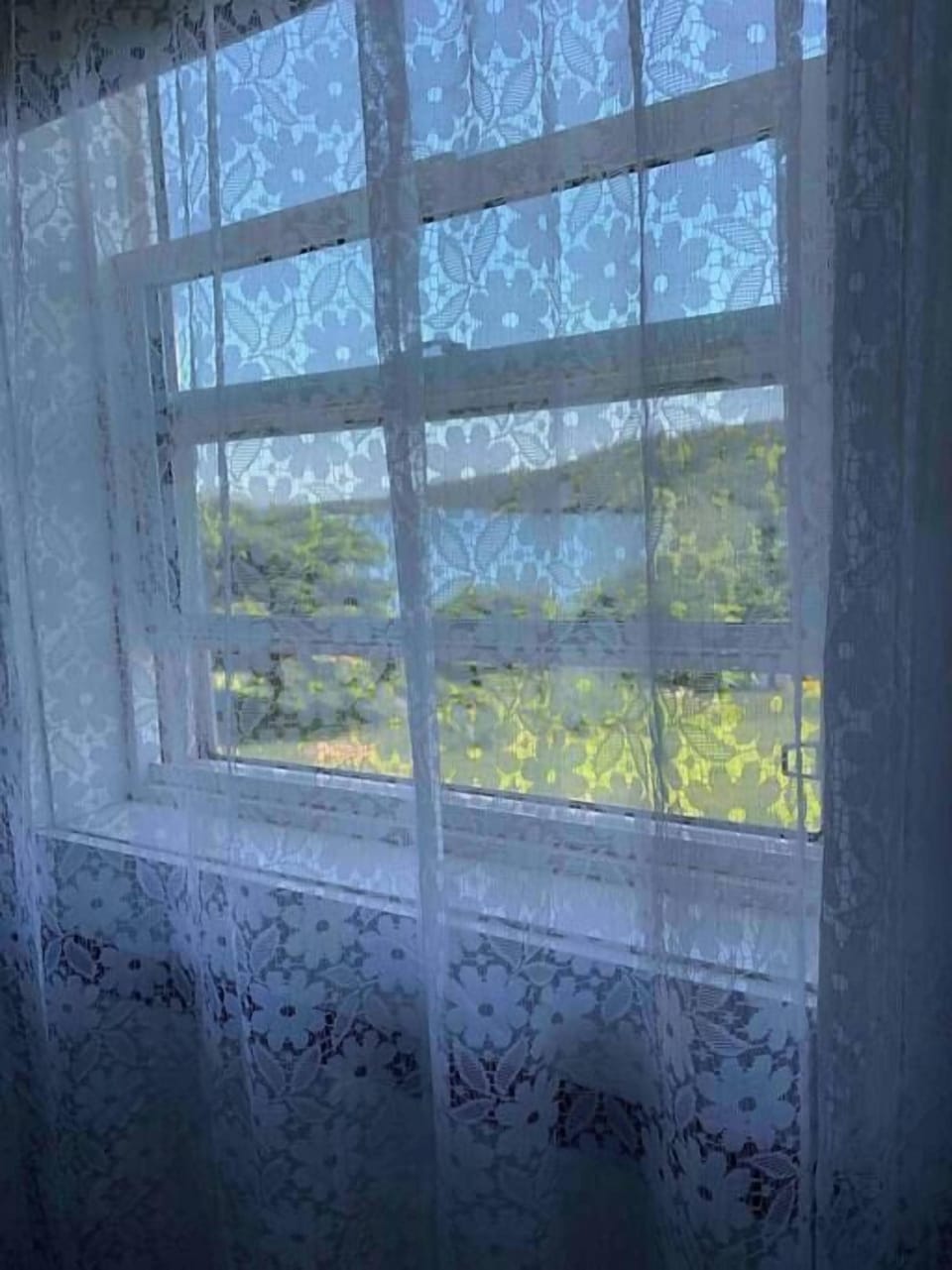 Bedroom view