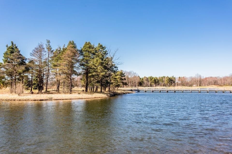 a99402ae-f85a-48e2-8263-292ddf01d75a