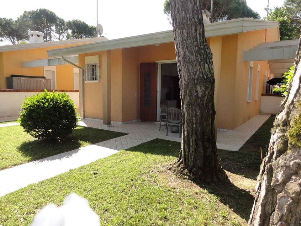 external view