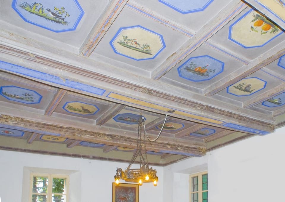 Dining room's ceiling