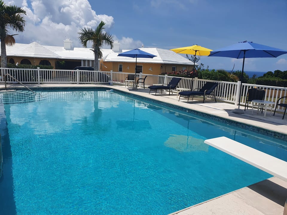 Enjoy a refreshing dip in our 20'x40' pool! There's also a gas BBQ grill. 