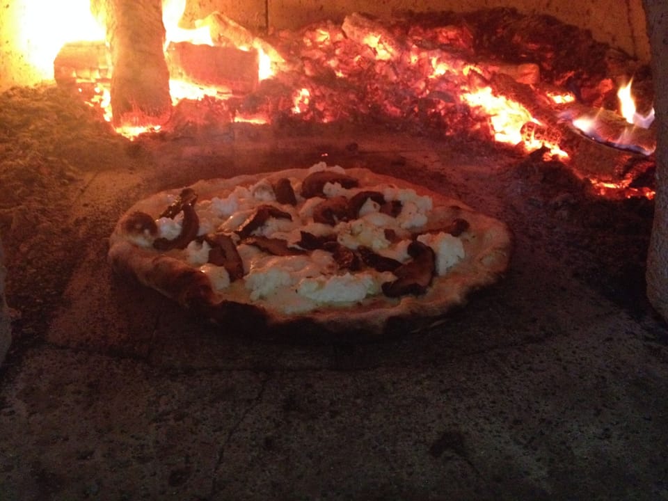OUTDOOR PIZZA OVEN
