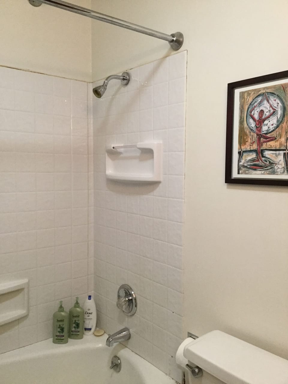 Shower/tub combo with shampoo, conditioner and body wash