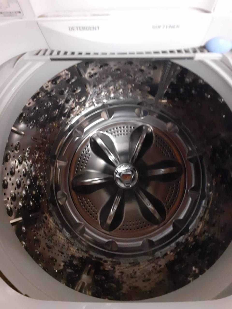 Washing machine bowl has a plunge function.