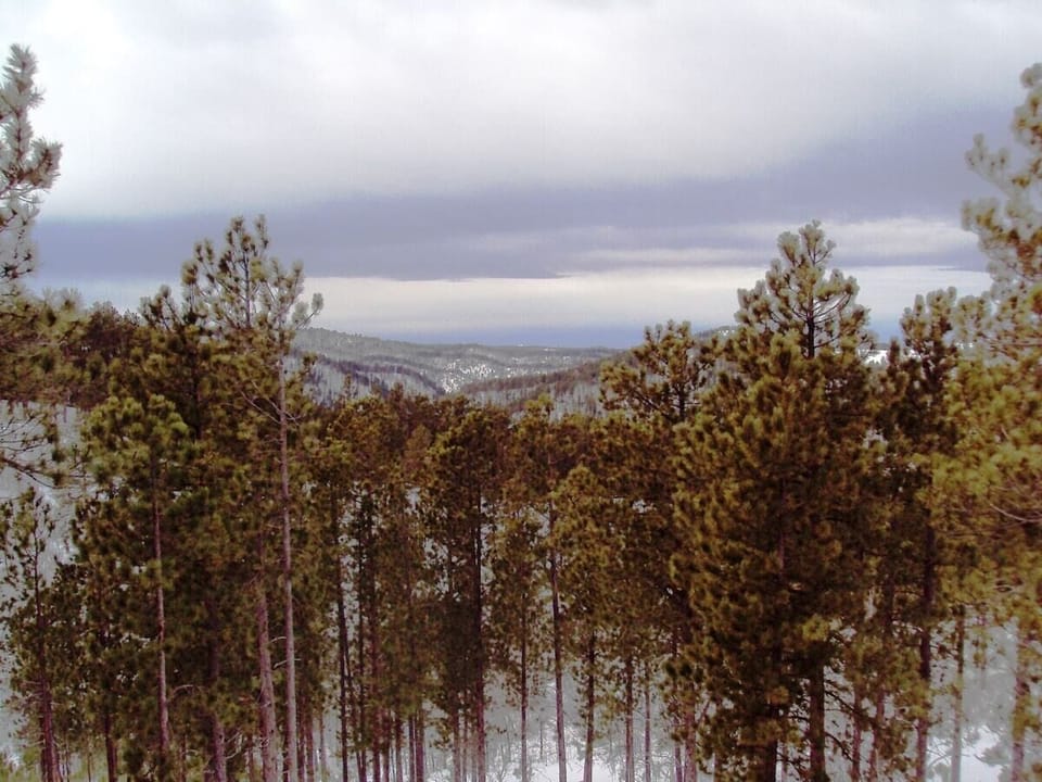 Awesome views from the covered deck