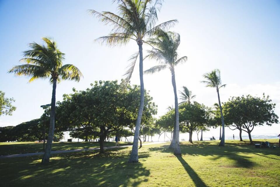 Take a Walk to Waikiki Beach