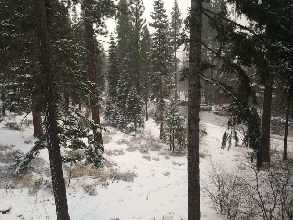 View from side windows