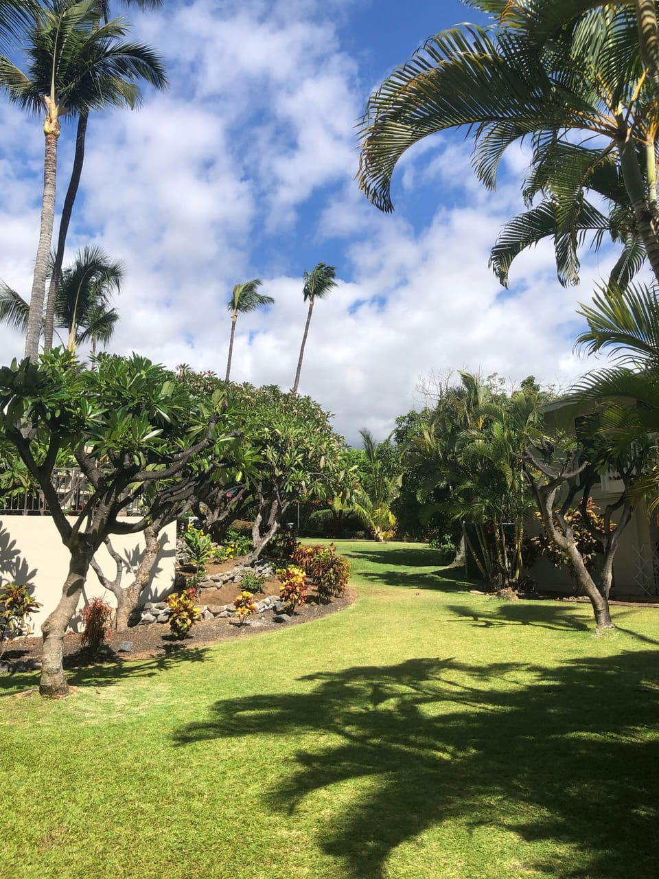 Enjoy the tropical grounds 