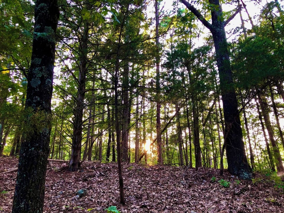 On Site Trail view