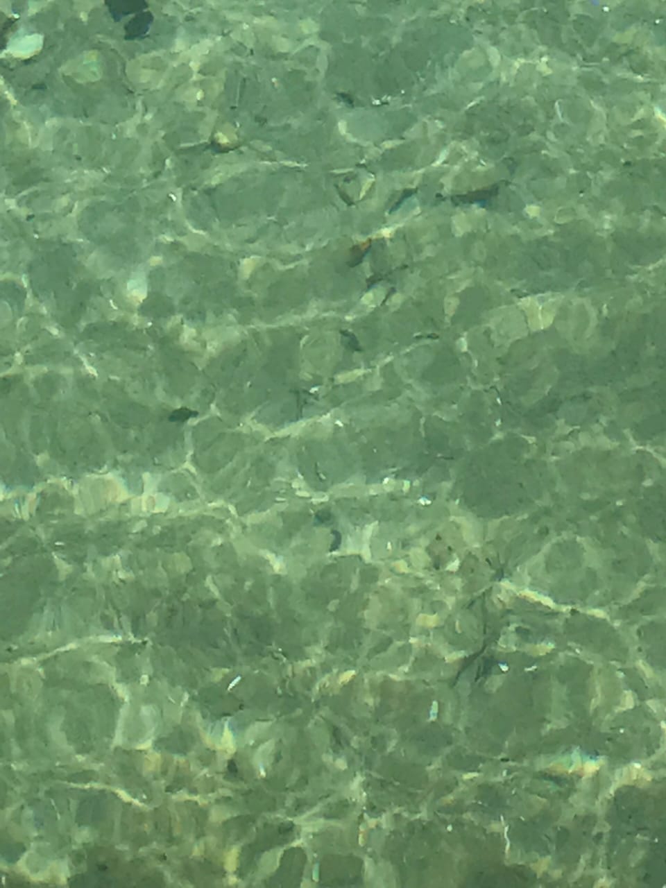 Crystal Clear water! 