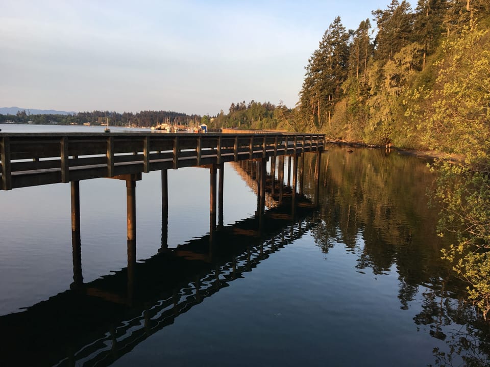 Boardwalk at dawn
