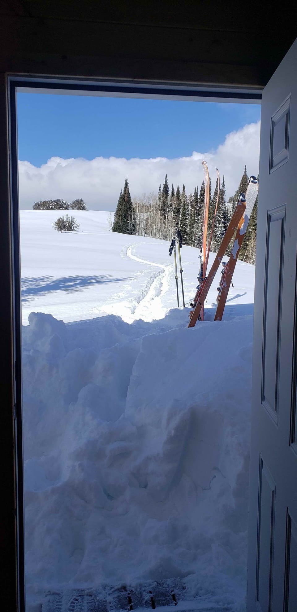 Snow and ski sports