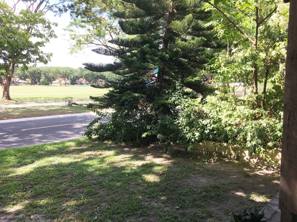 Property grounds