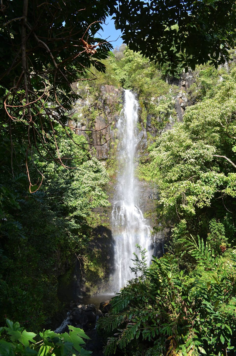 Waterfall on the drive to Hana.