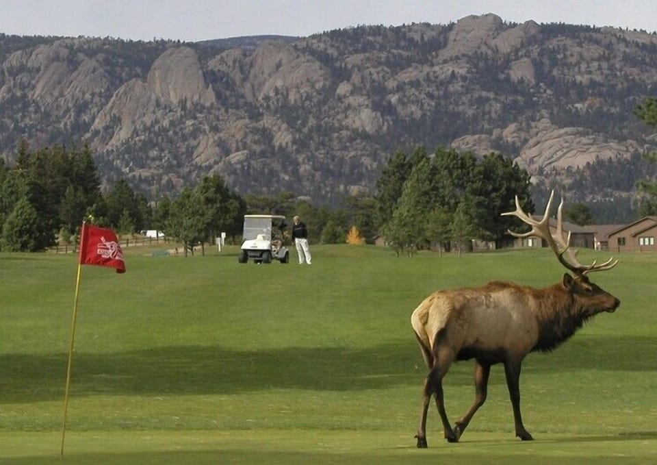 9 & 18 hole golf course