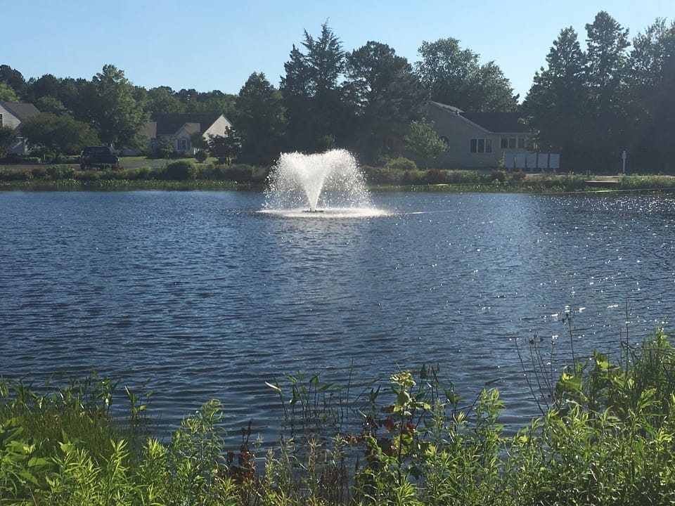 Fountain/Pond in front of home  