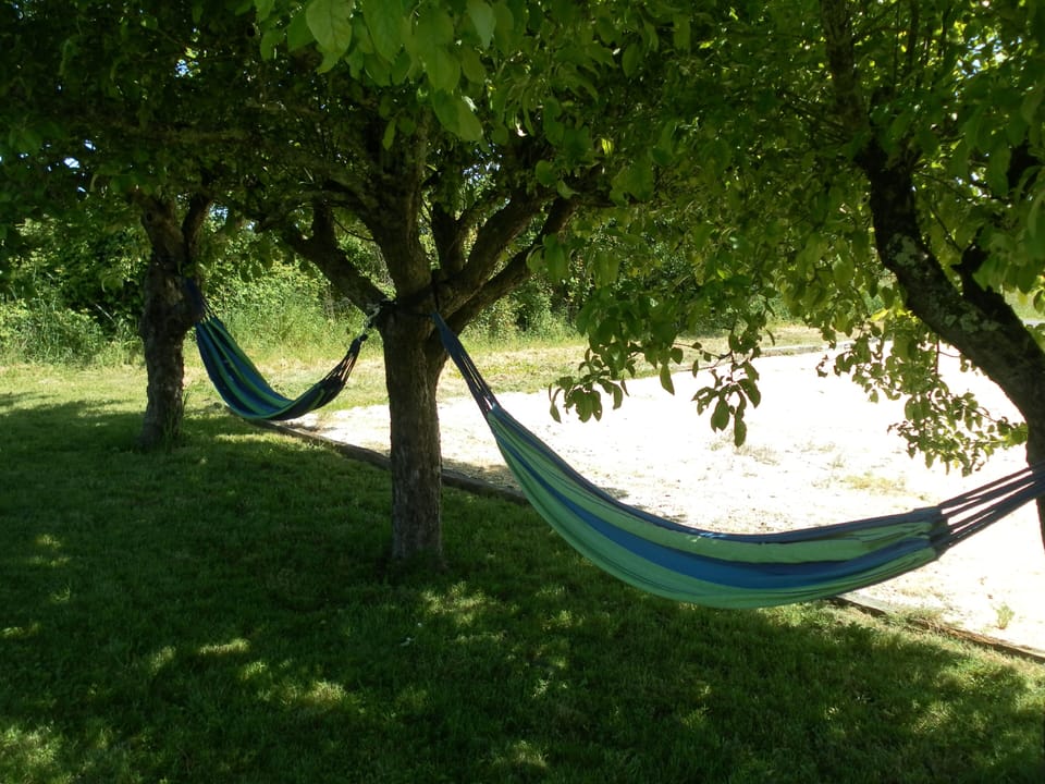 A relaxing time under the apple trees.