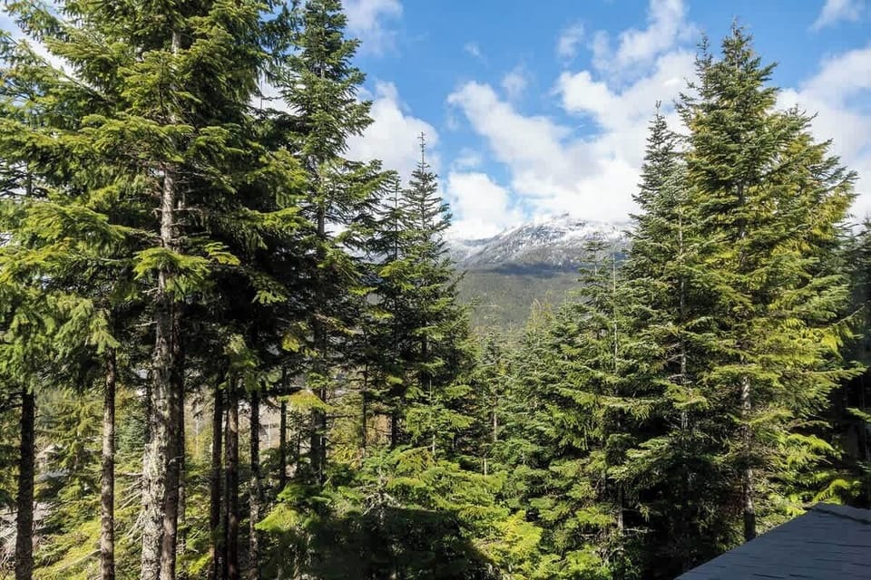 - Stunning Whistler view with snow-capped peaks  
- Lush evergreens frame breathtaking mountain scenery  
- A perfect vista from your cozy alpine hideaway  
