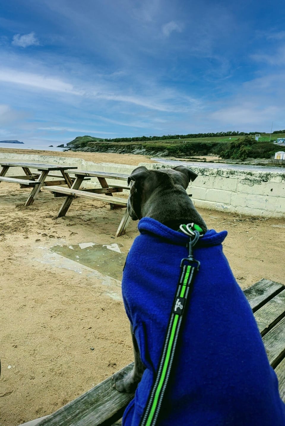 Porth beach