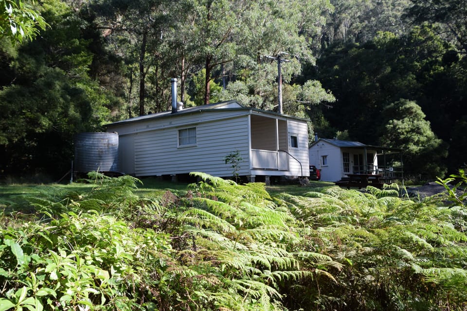 Cabin 2 (Lyrebird)