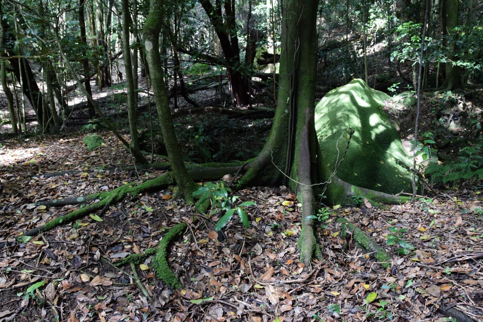 One of many hidden delights on the property