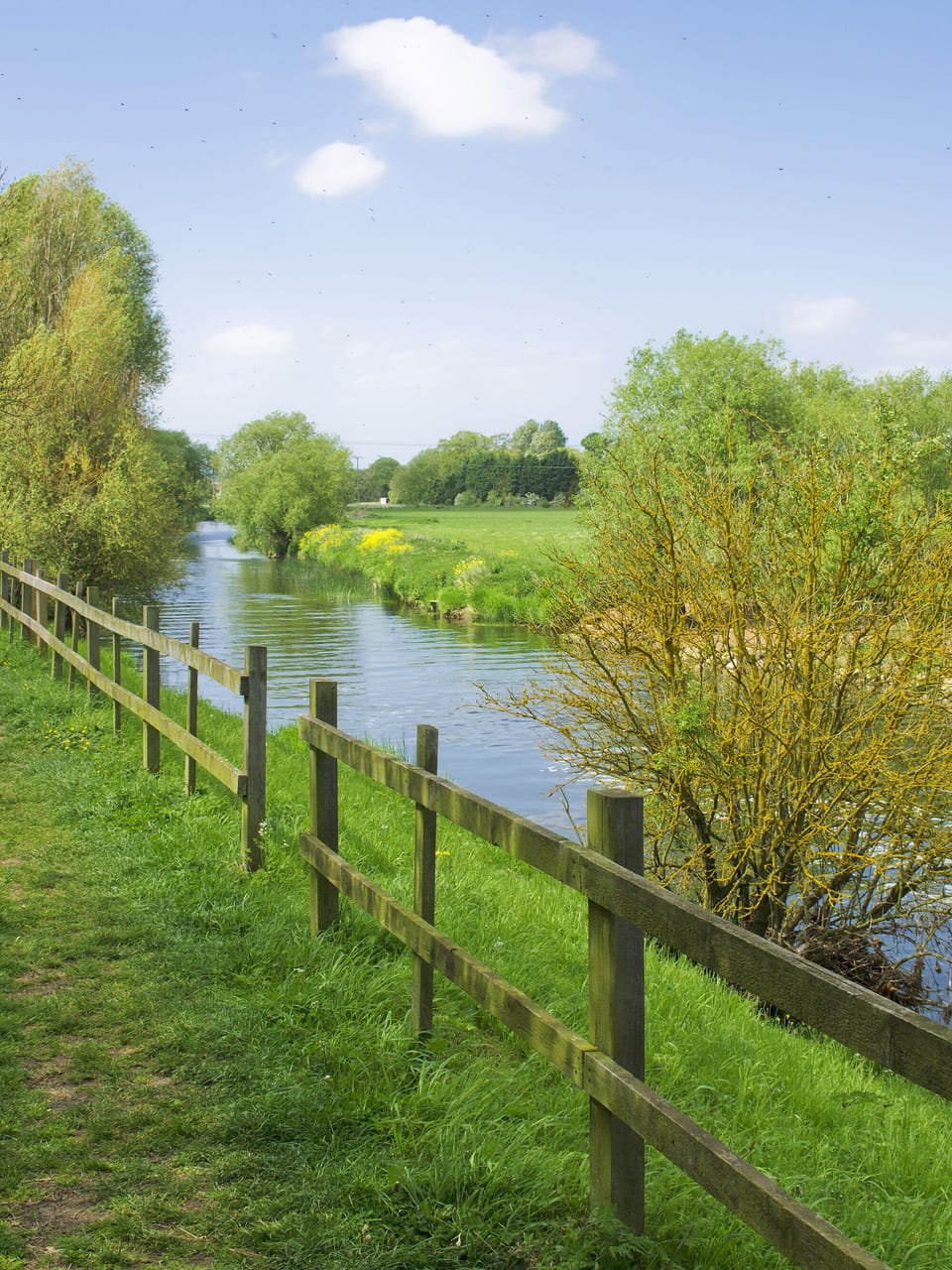 Riverside Walking Trail