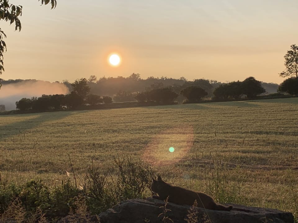 Early morning sunrise   It’s so beautiful here