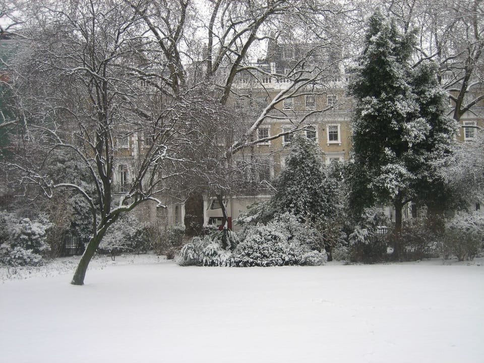 Garden in the Snow
