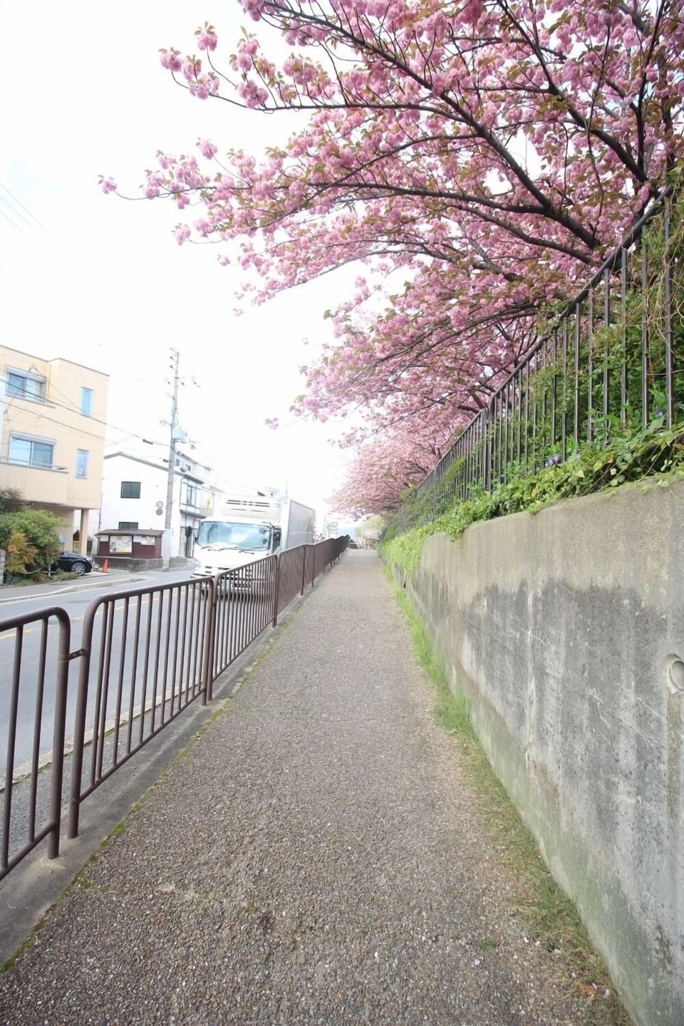 (Guest House) Kiyomori no Baika