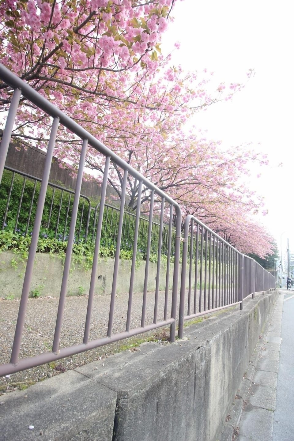 (Guest House) Kiyomori no Baika