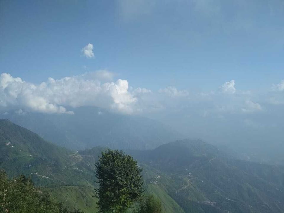 cedar point........! House in Himachal Pradesh