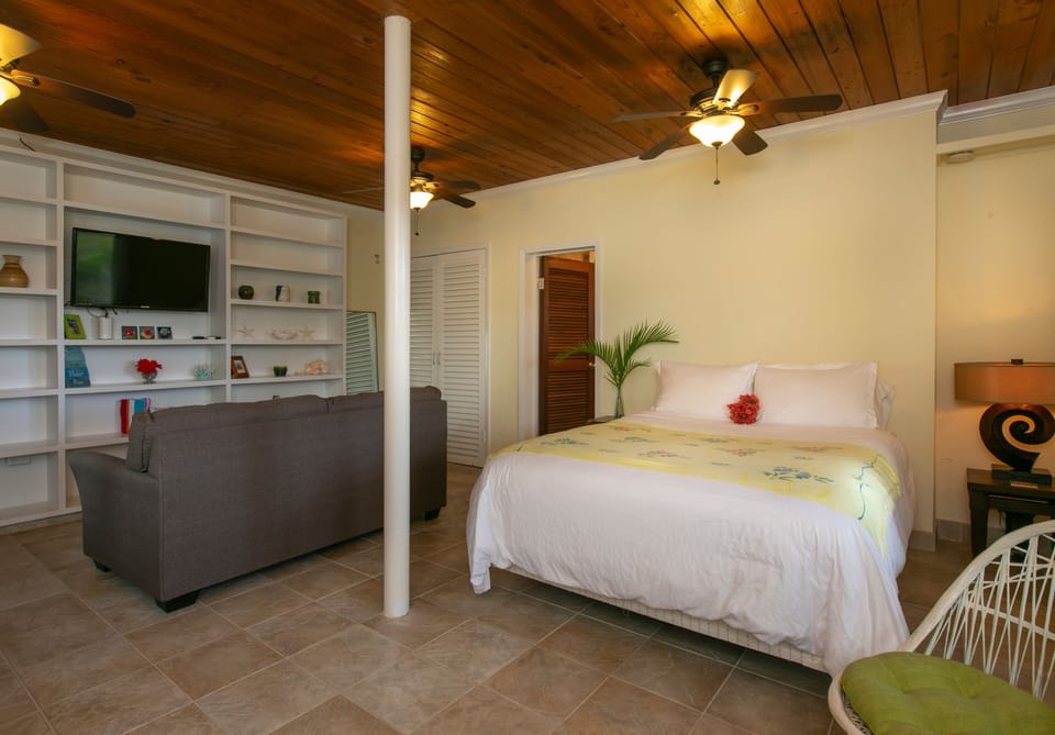 Lower studio apartment with Queen-sized bed, AC, TV, and attached full bathroom