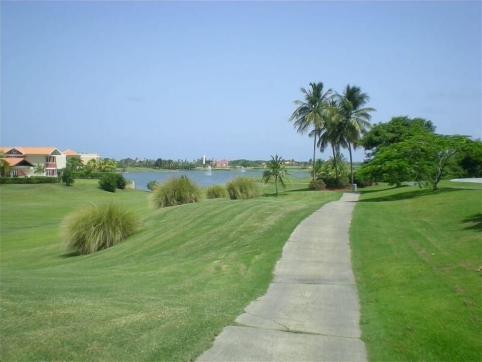 Grounds of Palmas del Mar, 2 golf courses, miles of paths for walks and cycling