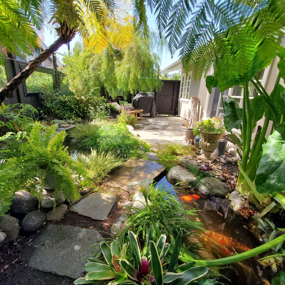 SIDE YARD WITH KOI POND, BBQ