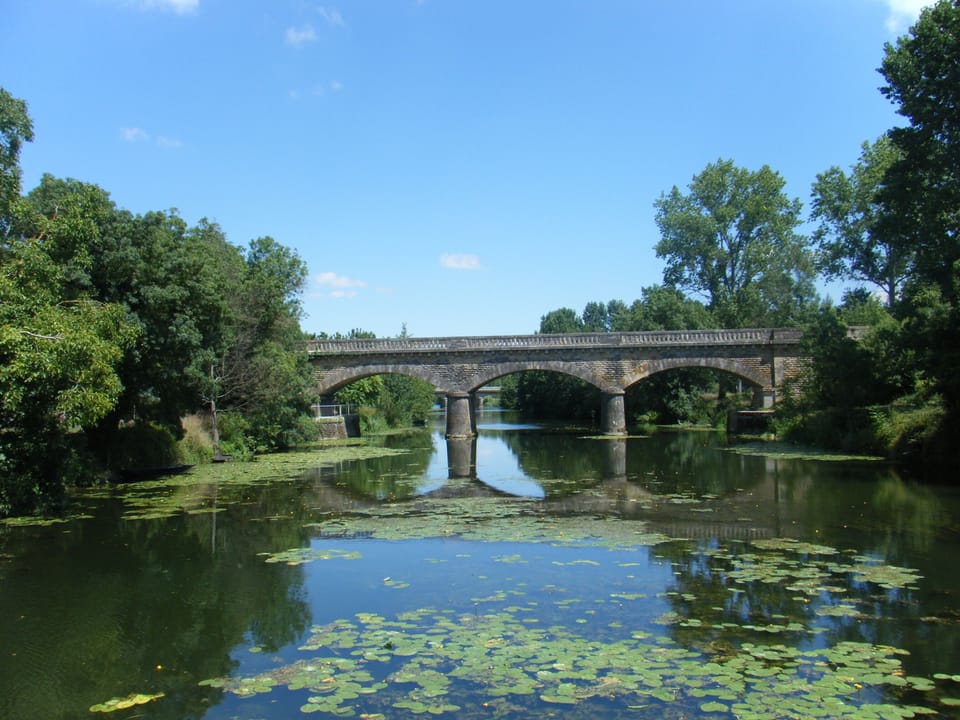 On the Venise vert