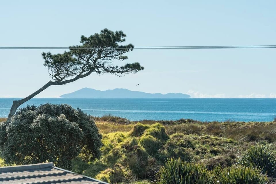Mayor Island view