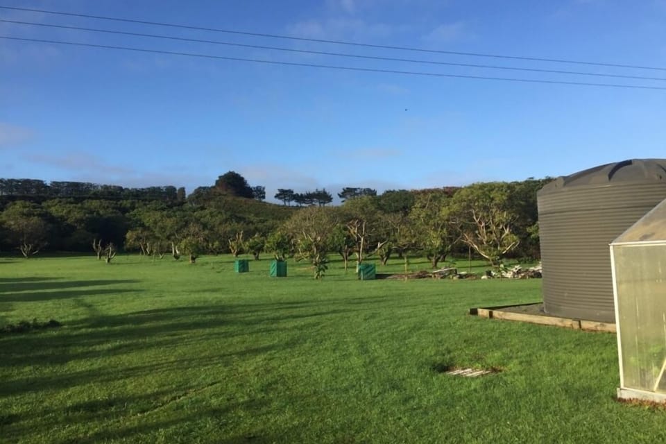 Take a walk up through the orchard
