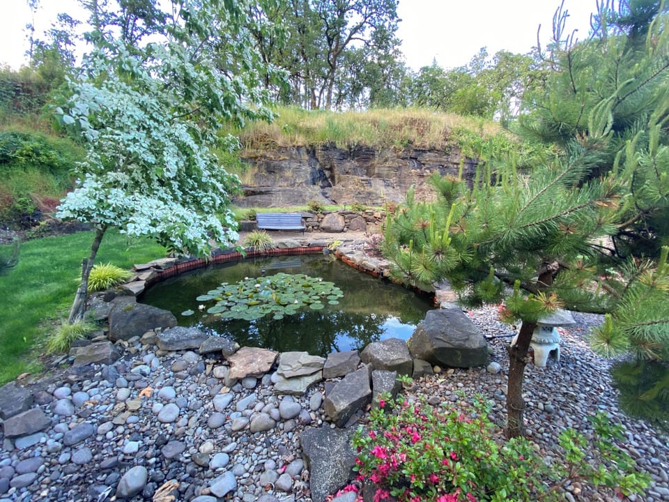 Japanese garden