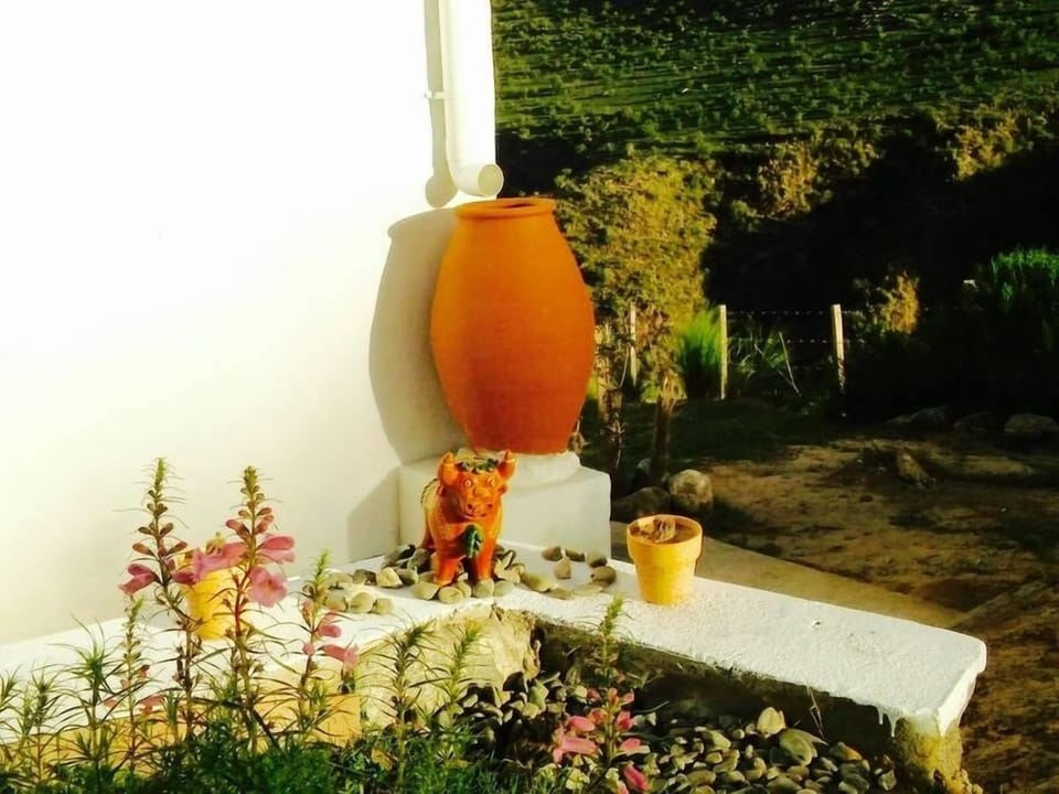 High Mountain Cottage 